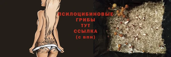 дурь Слюдянка