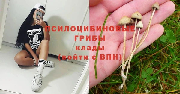 дурь Слюдянка